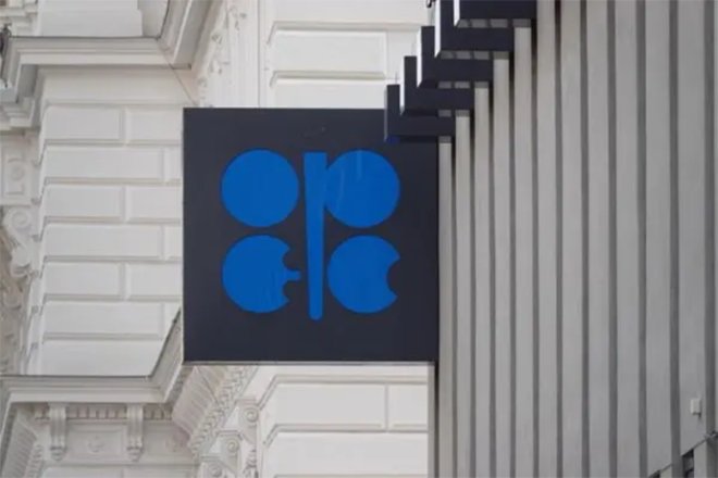 OPEC+ may further cut crude oil output