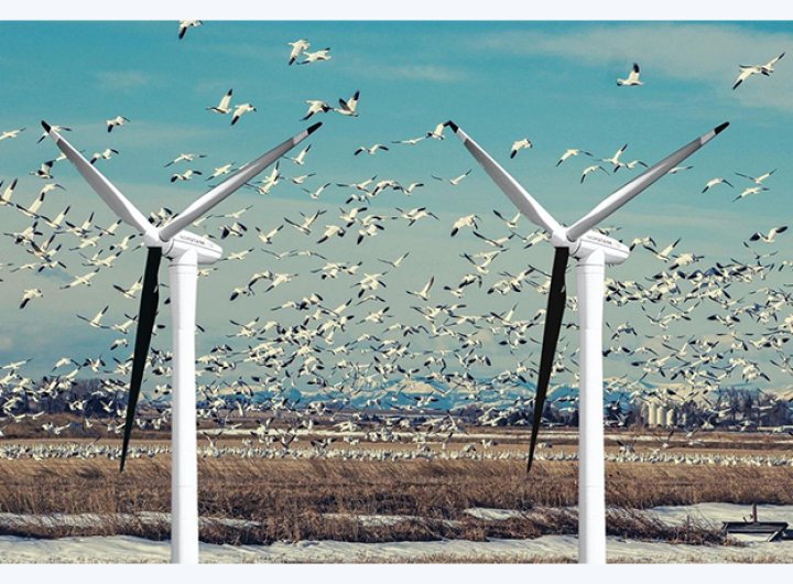The impact of wind turbines development to birds