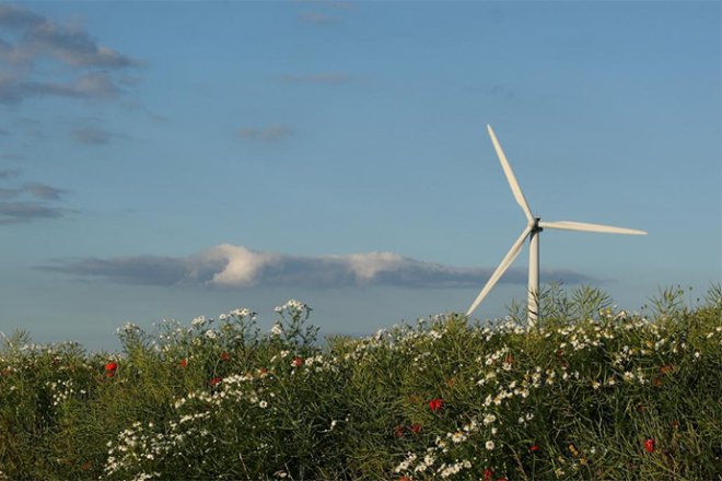 Why can Denmark become the country with the highest proportion of wind power and renewable energy in the world?