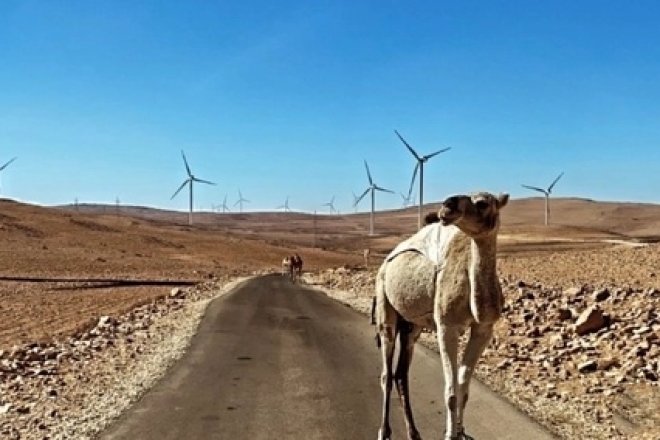 Jordan's Energy Breakthrough: A Glimpse into the Prospects of the New Energy Market